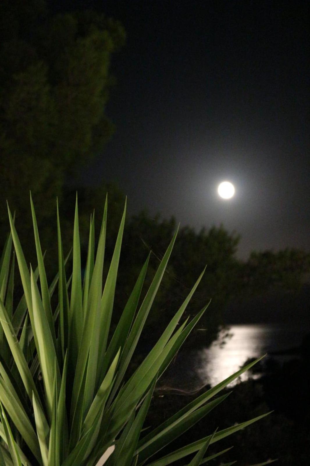 Holiday Hvar Vrbanj Kültér fotó
